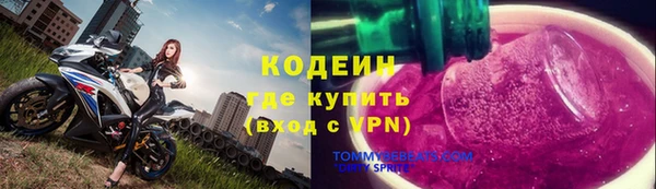 крисы Каменка