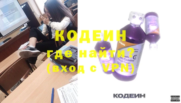 крисы Каменка