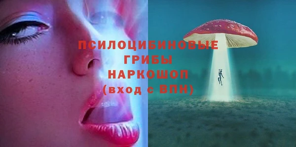 индика Каменск-Шахтинский