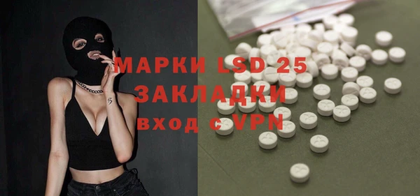 крисы Каменка