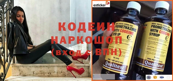 индика Каменск-Шахтинский