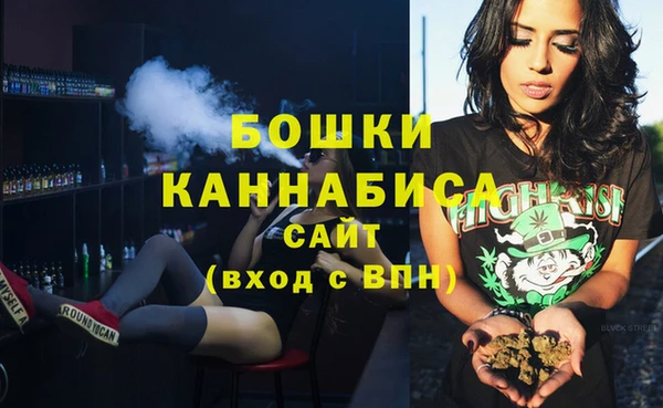 индика Каменск-Шахтинский