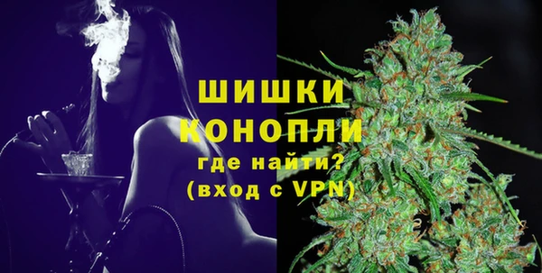 индика Каменск-Шахтинский