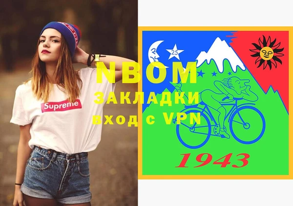крисы Каменка