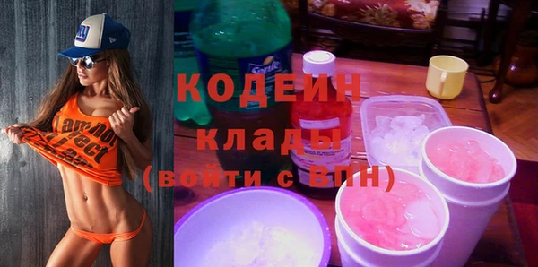 крисы Каменка