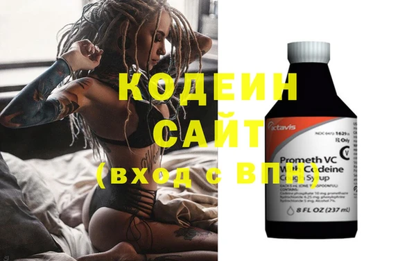 крисы Каменка