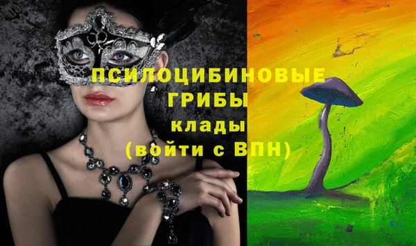 дурь Иннополис