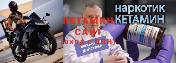 крисы Каменка