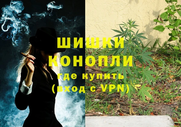 крисы Каменка