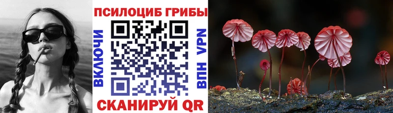 Псилоцибиновые грибы мицелий Ковров