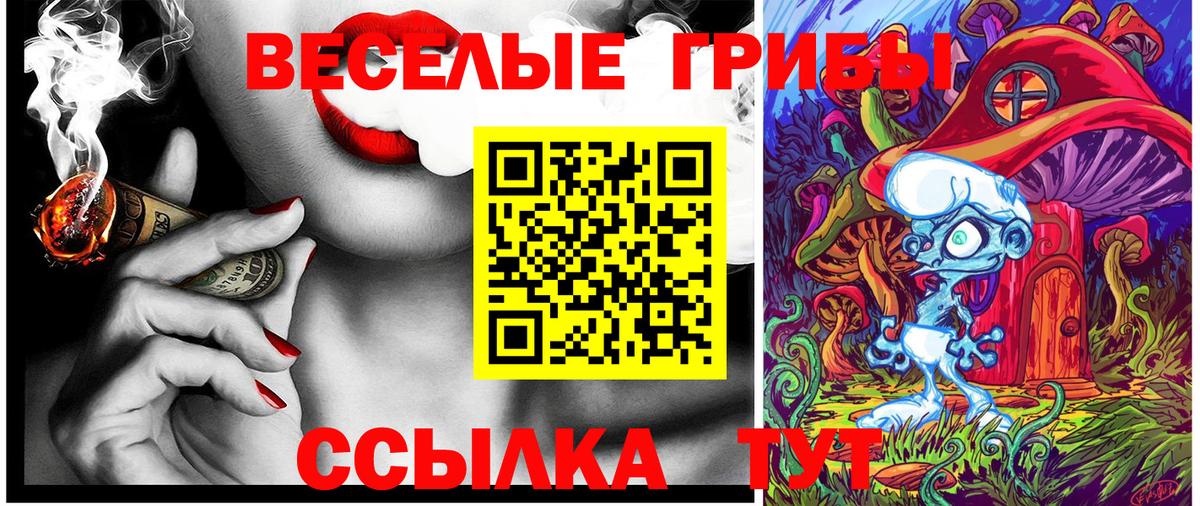 Ковров  сколько стоит  Вход с VPN  Галлюциногенные грибы Psilocybine cubensis 